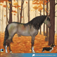 Horse Color:Liver Red Dun