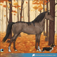 Horse Color:Liver Red Dun