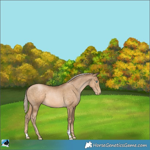 Horse Color:Chocolate Palomino Pearl 