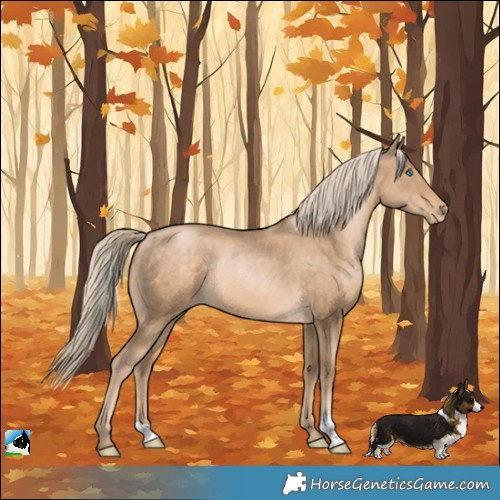 Horse Color:Chocolate Palomino Pearl