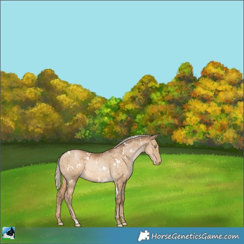 Horse Color:White Spotted Chocolate Palomino Pearl Dun Brindle 