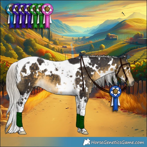 Horse Color:White Spotted Silver Buckskin Tobiano 