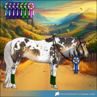 Horse Color:White Spotted Silver Buckskin Tobiano 