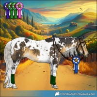 Horse Color:White Spotted Silver Buckskin Tobiano