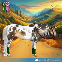 Horse Color:White Spotted Silver Buckskin Tobiano 