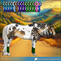 Horse Color:White Spotted Silver Buckskin Tobiano 