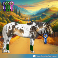 Horse Color:White Spotted Silver Buckskin Tobiano 