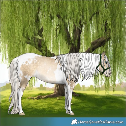 Horse Color:White Spotted Silver Buckskin Pearl Tobiano