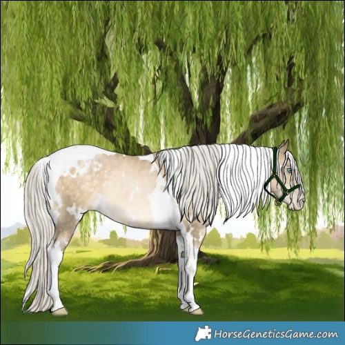 Horse Color:White Spotted Silver Buckskin Pearl Tobiano 
