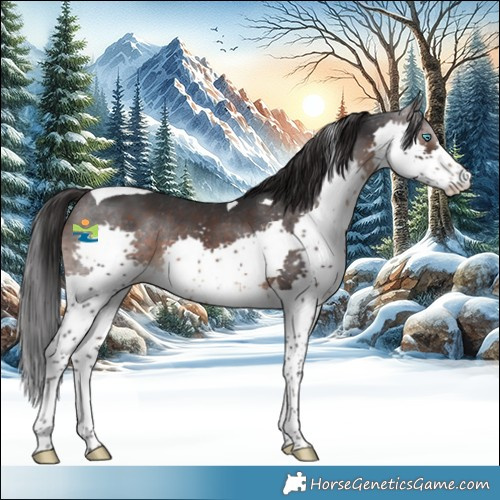 Horse Color:Brown Splash Tobiano Varnish 