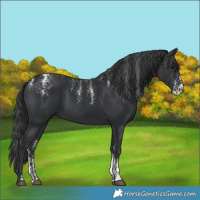 Horse Color:Powder White Black