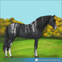 Horse Color:Powder White Black 