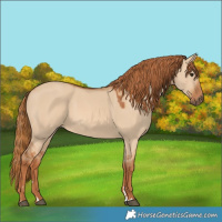 Horse Color:Red Dun 