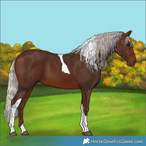 Horse Color:Silver Bay Tobiano 