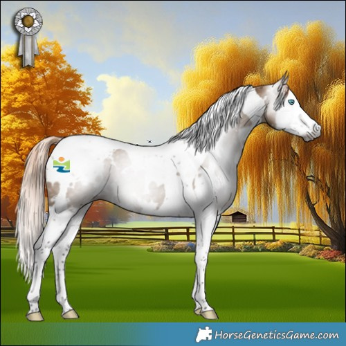 Horse Color:Gray White Spotted Liver Red Dun Splash Tobiano 