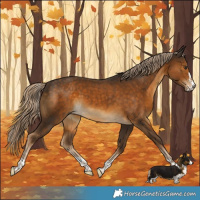 Horse Color:Chocolate Palomino 