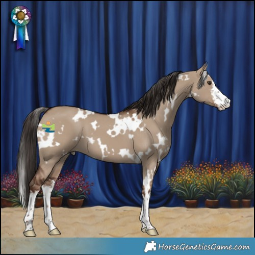 Horse Color:White Spotted Liver Red Dun 