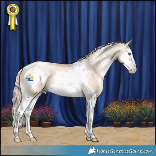 Horse Color:White Spotted Chocolate Palomino Snowdrop Dun Splash 