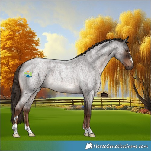 Horse Color:Liver Red Roan 