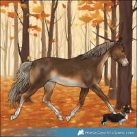 Horse Color:Chocolate Palomino