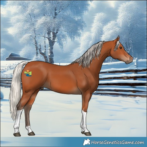Horse Color:Silver Bay Tobiano 