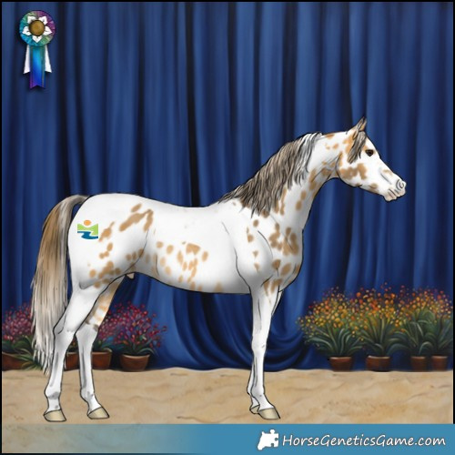 Horse Color:Buckskin Tobiano Appaloosa Rabicano 