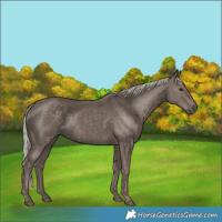Horse Color:Silver Black 