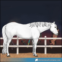 Horse Color:Gray White Spotted Red Dun