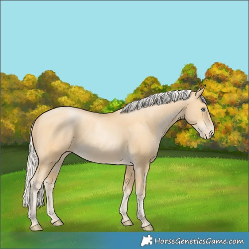 Horse Color:Silver Buckskin Pearl 