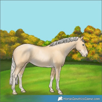 Horse Color:Silver Buckskin Pearl