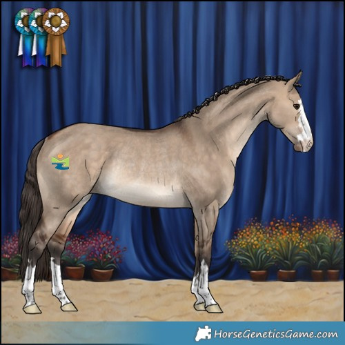 Horse Color:Bay Dun Varnish Rabicano 