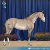 Horse Color:Bay Dun Varnish Rabicano