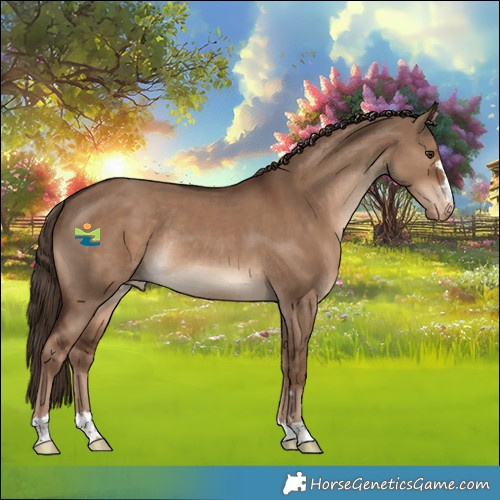 Horse Color:Liver Red Dun Appaloosa Rabicano