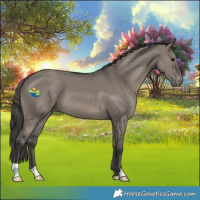 Horse Color:Grullo Varnish 