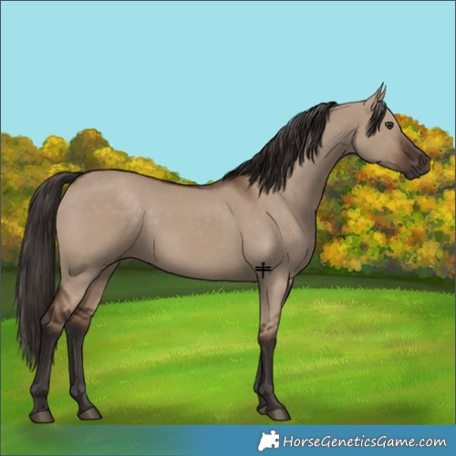Horse Color:Liver Red Dun
