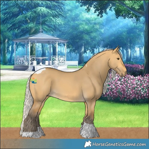 Horse Color:Silver Buckskin Dun Tobiano 