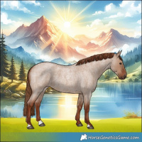 Horse Color:Red Dun Roan