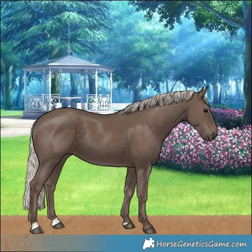 Horse Color:Silver Black 