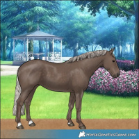 Horse Color:Silver Black 