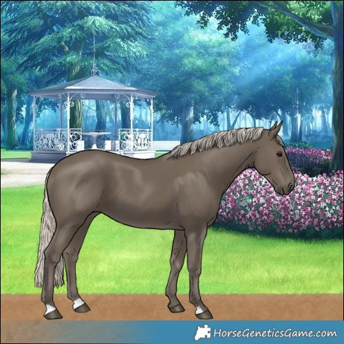 Horse Color:Silver Smoky Black 