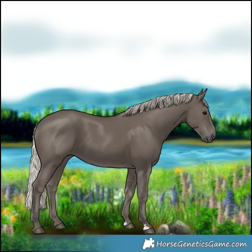 Horse Color:Silver Black 