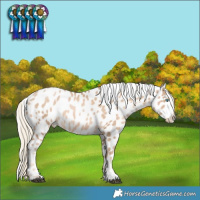 Horse Color:Liver Chestnut Snowdrop Pearl Leopard