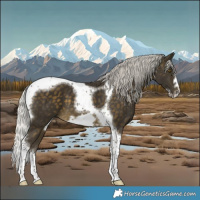 Horse Color:Silver Buckskin Tobiano Frame