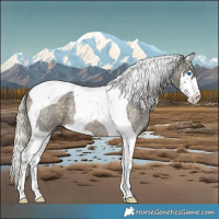 Horse Color:Silver Buckskin Roan Splash Tobiano 