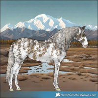 Horse Color:Silver Buckskin Sabino 
