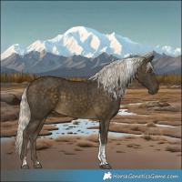 Horse Color:Silver Buckskin Tobiano 