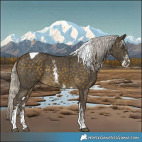 Horse Color:Silver Buckskin Sabino Tobiano Rabicano