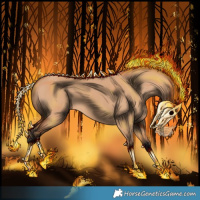 Horse Color:Bay Dun