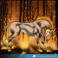 Horse Color:Red Roan 