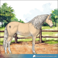 Horse Color:Palomino